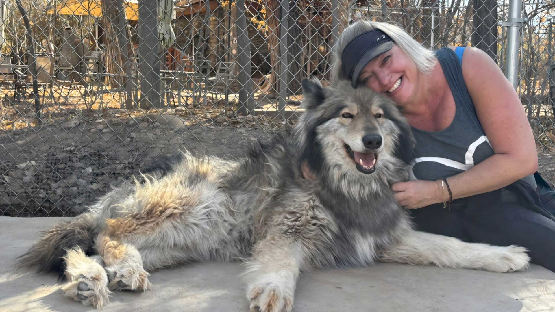 jodie-wolf